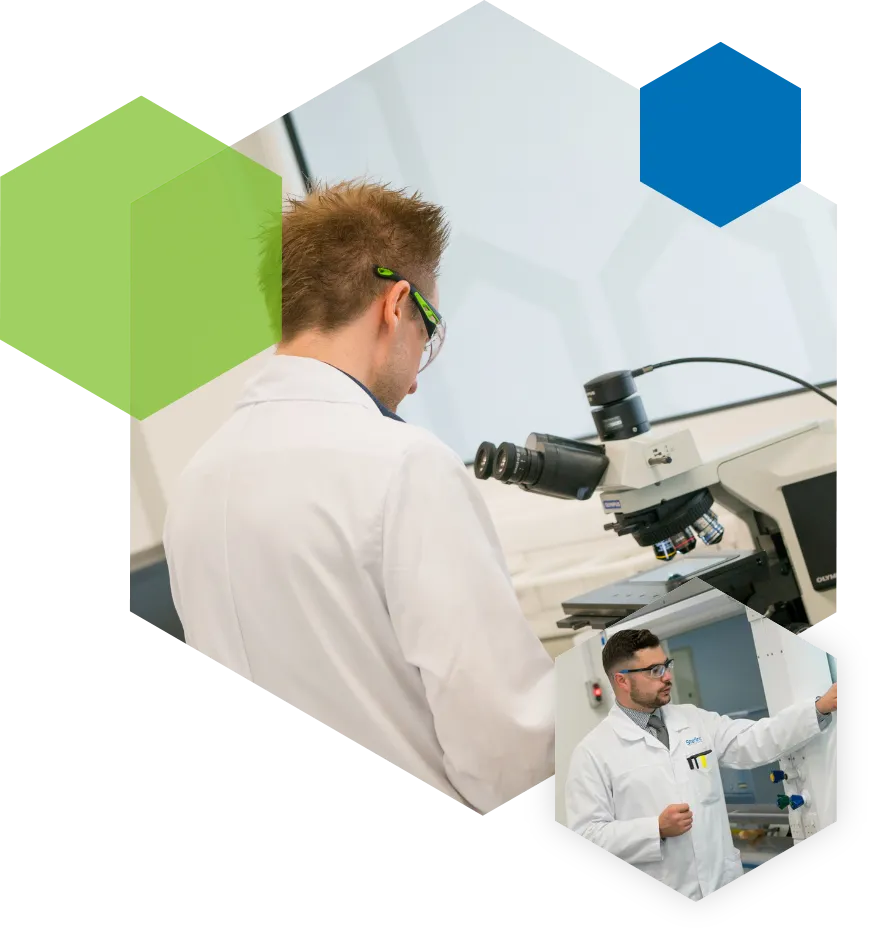 solid form development